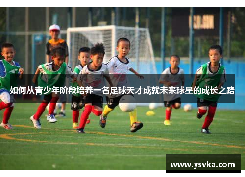 如何从青少年阶段培养一名足球天才成就未来球星的成长之路