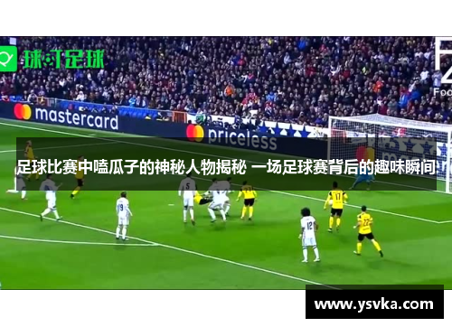 足球比赛中嗑瓜子的神秘人物揭秘 一场足球赛背后的趣味瞬间
