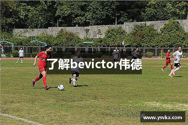 了解bevictor伟德